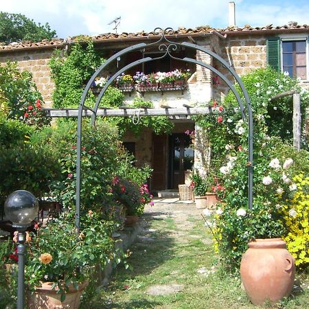 Le Querciolaie Monte Cavallo - Upper Apartment Saturnia Luaran gambar