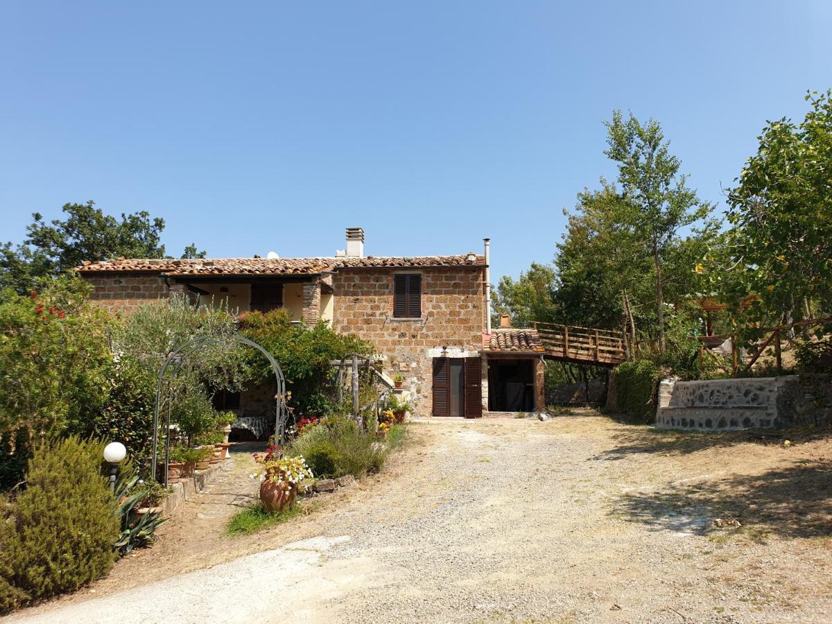 Le Querciolaie Monte Cavallo - Upper Apartment Saturnia Luaran gambar